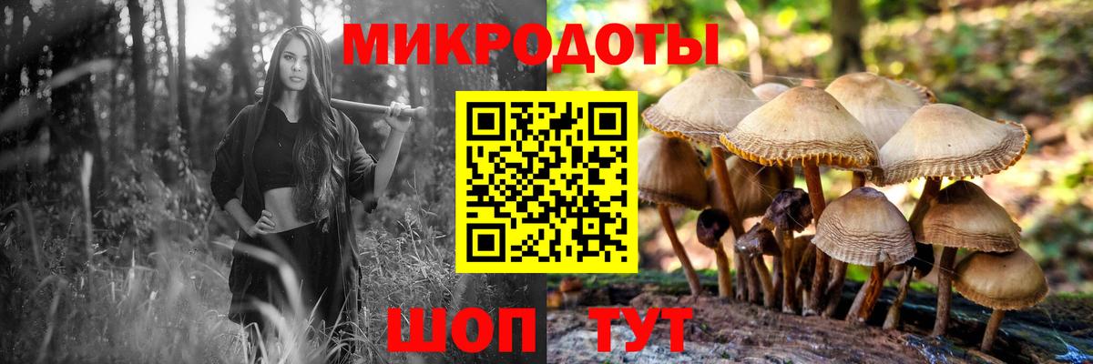 Галлюциногенные грибы Magic Shrooms Назрань