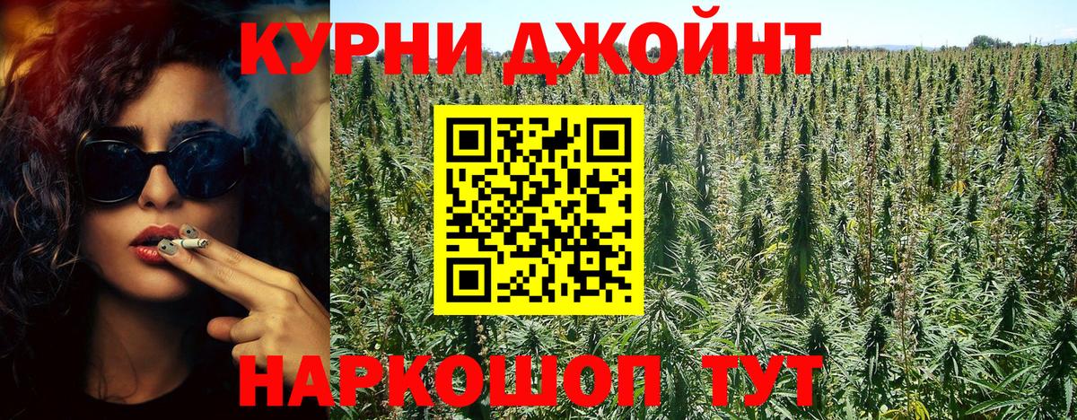Бошки Шишки план Назрань